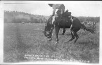Berton Brewster riding Ashland, Mont. Roundup