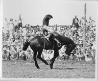J.E. Ranch Rodeo Waverly, N.Y. 1939