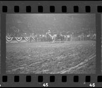 [Unknown Steer wrestler]