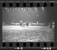 Jake Wyant Steer wrestling, 8.4 Sec