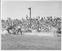 J.E. Ranch Rodeo early 1940's Waverly, N.Y.