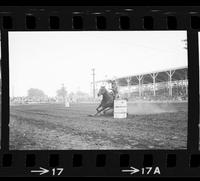 Wendy Potter Barrel racing