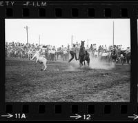 Craig Rose Calf roping