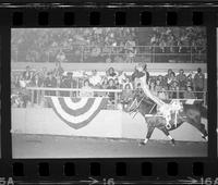 Jeanette Bolling Trick riding