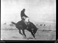 Guy Edward Holt on Old Steamboat, World Champion Ride, Cheyenne, Wyo. 1903