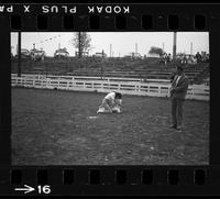 [Unknown cowgirl calf roping]