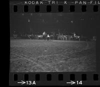 Rolla Hade Steer wrestling