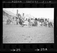 Bill Ussery Steer wrestling