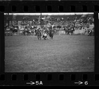 Bill Fedderson Steer wrestling, 9.2 sec