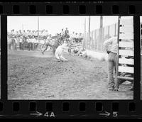 Wayne Spencer Calf roping, 13.0 Sec