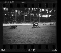 Dick Hoose Calf roping, 12.2 Sec