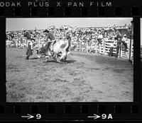 Bernis Johnson on Bull #68