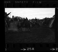 Royce Rogers Steer wrestling