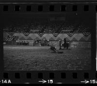 Bobby Goodspeed Calf roping