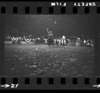 [Unknown Steer wrestler]