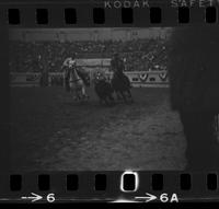 Dean Oliver Steer wrestling