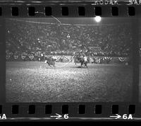 Steve Graff Calf roping