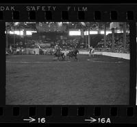 Jim Bausch Steer wrestling, 25.8 sec