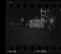 Paul Mitchell on Bull #2