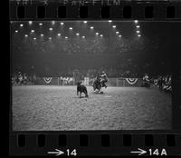 Junior Garrison Calf roping