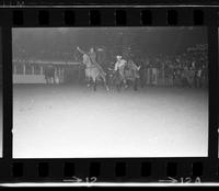 C.T. Jones Steer wrestling, 5.8 Sec