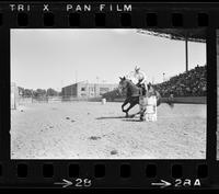 Mary Ann Reeder Barrel racing