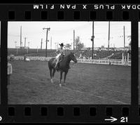 [Unknown horse show]