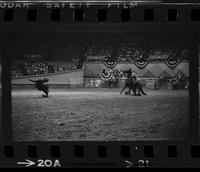 Warren Wuthier Calf roping, 11.6 Sec