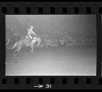 [Unknown Saddle bronc ridier]