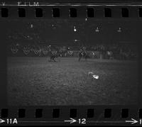 Roy Reger Calf roping, 11.18 Sec