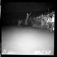 Jim Spain Bull riding