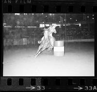 Bev Hammond Barrel racing, 15.03 Sec