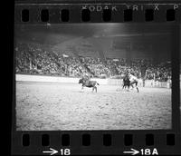 Ed Jennings Calf roping