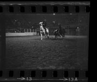 Jim Painter Steer wrestling, 7.9 Sec