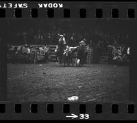 [Unknown Steer wrestler]