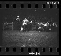 [Unknown Steer wrestler]