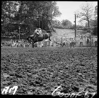 Larry Lyons on Bareback horse #201