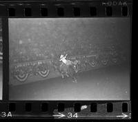 [Unknown Bareback rider]