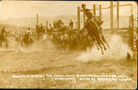 Buffalo Brady on Headlight, Stampede, Casper, Wyo Given by American Legion