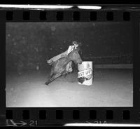 Debbie Douglas Barrel racing, 17.3 Sec