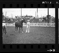 [Unknown horse show]