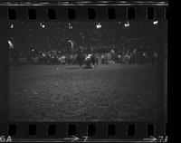 Bill Minick Steer wrestling, 7.50 Sec