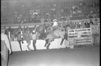 Ronnie Bowman on Bull #187