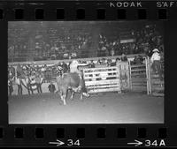 Bob Keller on Bull #128