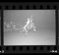 [Unknown Bareback rider]