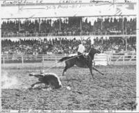 Everett Shaw steer roping finals, Cheyenne '62