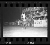 Roy Rodewald on Sand 'N sage