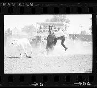 Terry Toole Calf roping
