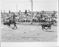 J.E. Ranch Rodeo, Waverly, N.Y. early 1940's