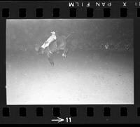 [Unknown Bareback rider]